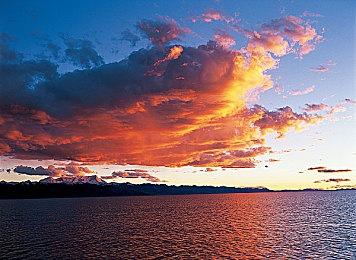 “MOBA+肉鸽”，科隆展上的这款独游，是什么来头？